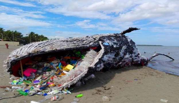 plastic whale